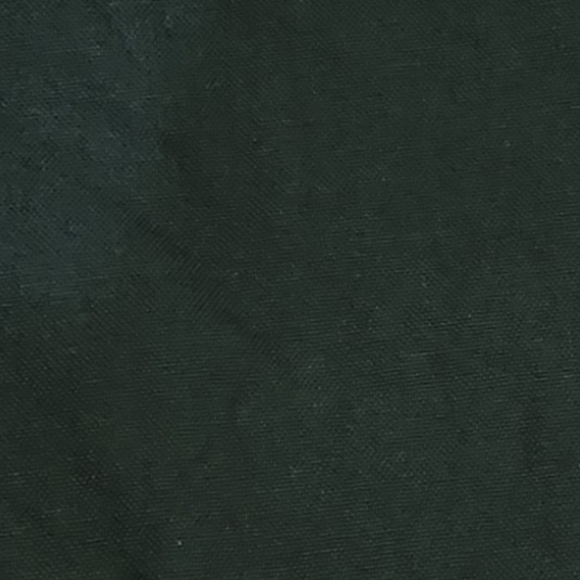 Festive Poinsettia Placemats. Set Of 2 - Picture 3 of 3